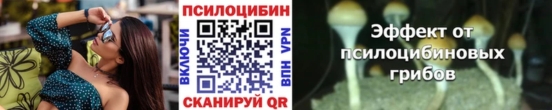 это какой сайт  Чулым  Псилоцибиновые грибы MAGIC MUSHROOMS 